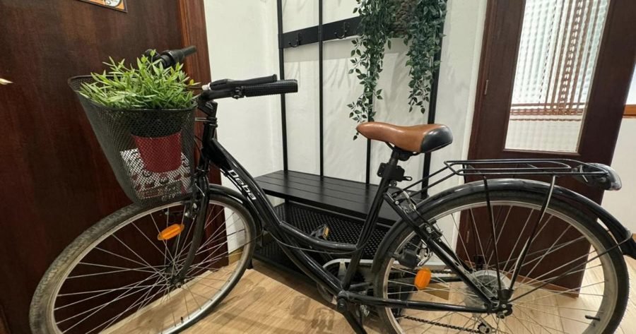 BIKE APARTMENT next to Cathedral and Laurel by Apartamentos Logrono org · foto 1