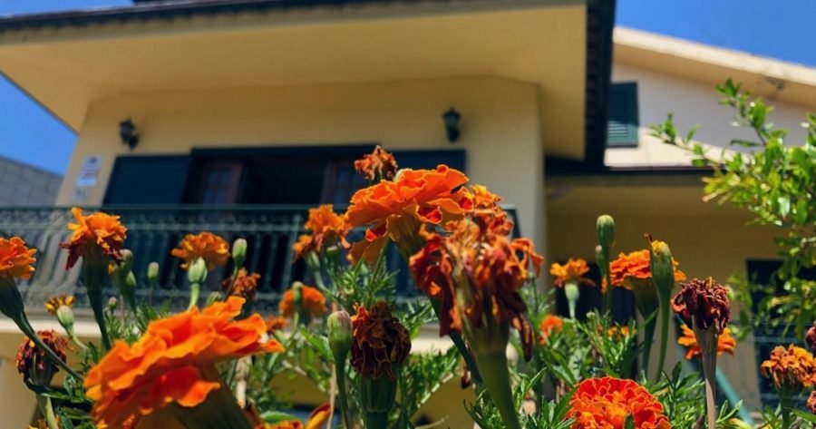 Casa São Simão · foto 1