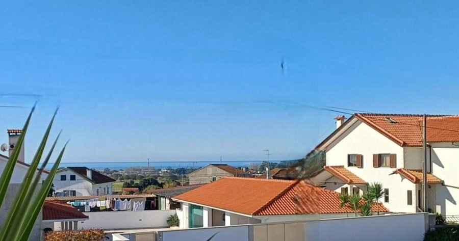 Casa Terra das Vinhas: Foto