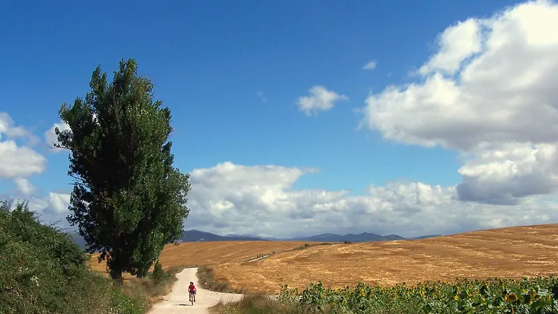 Vista de San Xulián do Camiño
