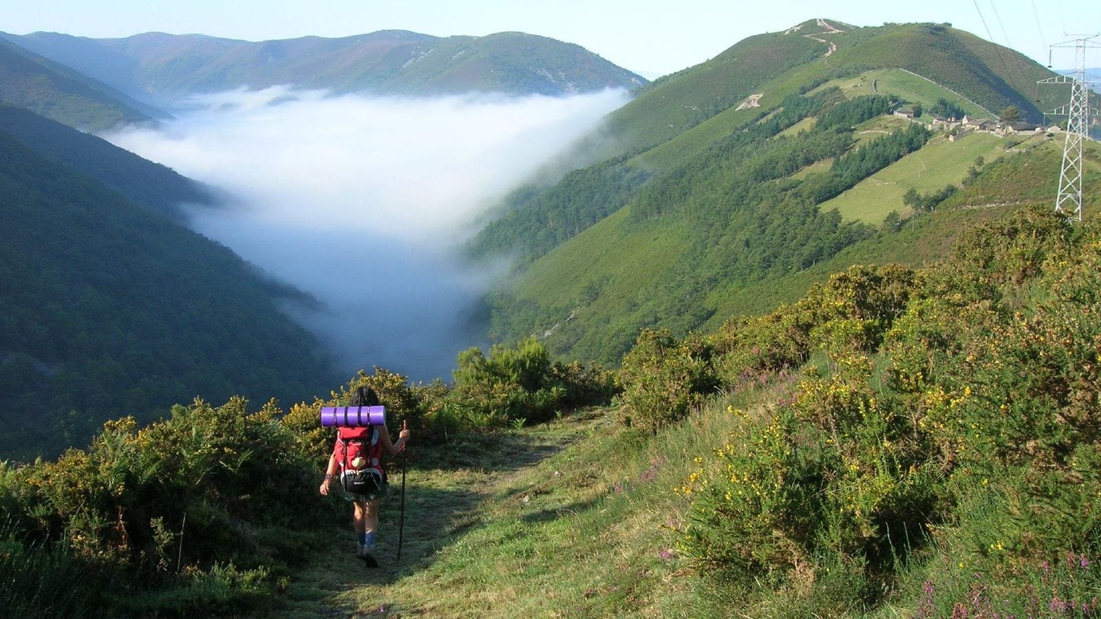 Camino Primitivo