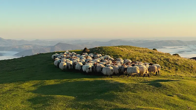 Vista de Roncesvalles