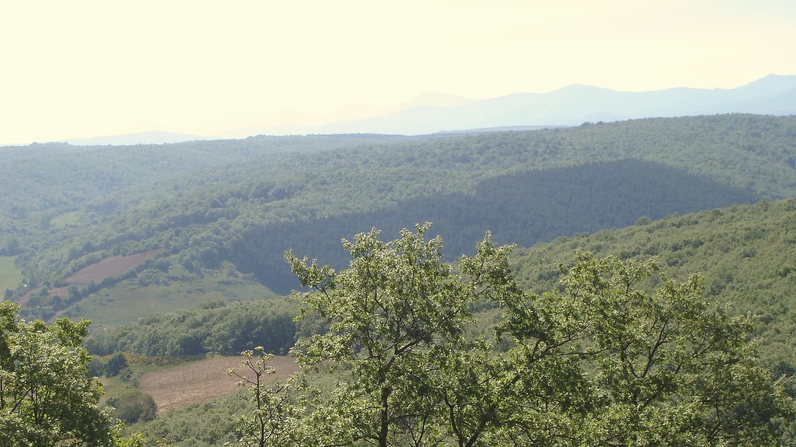 Montes de Oca a caminho de San Juan de Ortega, etapa Belorado – San Juan de Ortega