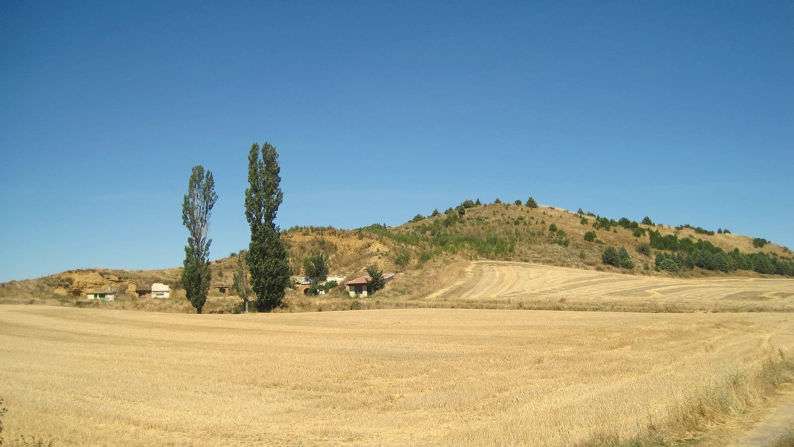 Campos de cereal segado e adegas xunto a Calzadilla de la Cueza, etapa Carrión de los Condes – Terradillos de los Templarios