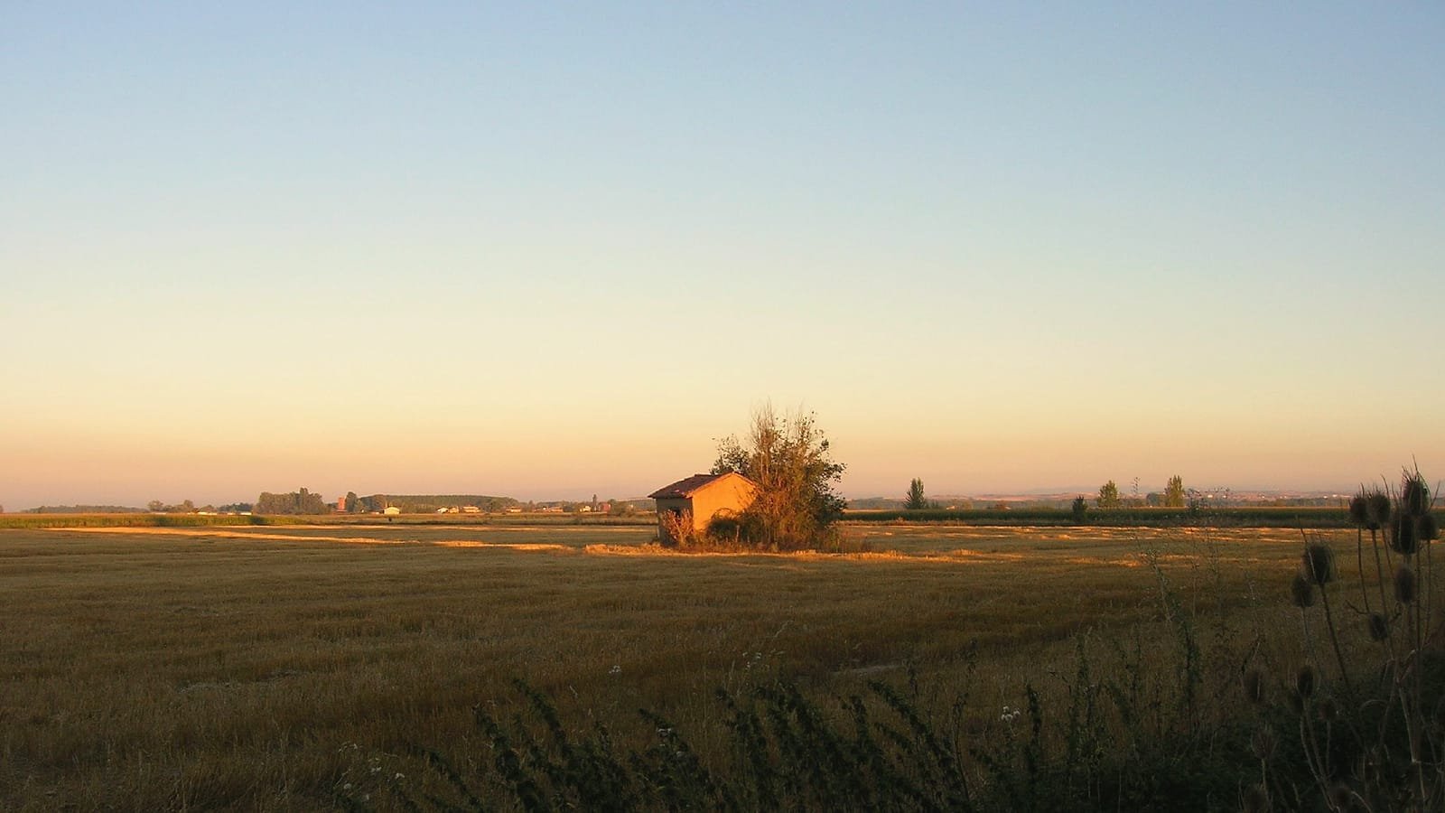 Amanhecer na meseta leonesa, etapa Bercianos del Real Camino – Mansilla de las Mulas