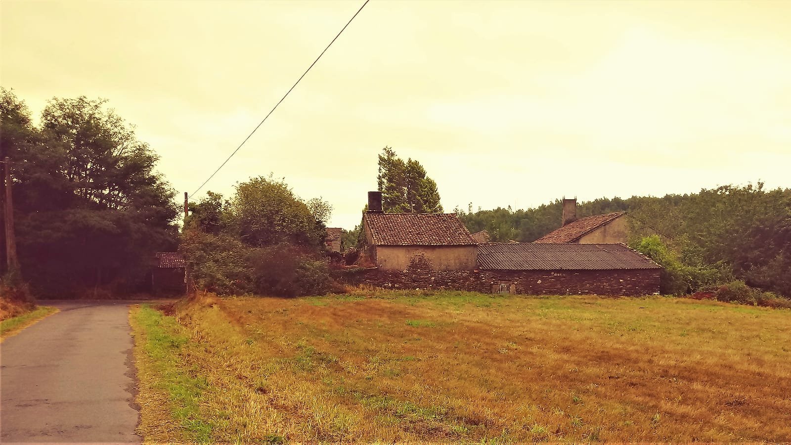 Campos de Pereira à chegada a O Pedrouzo, etapa Arzúa – O Pedrouzo