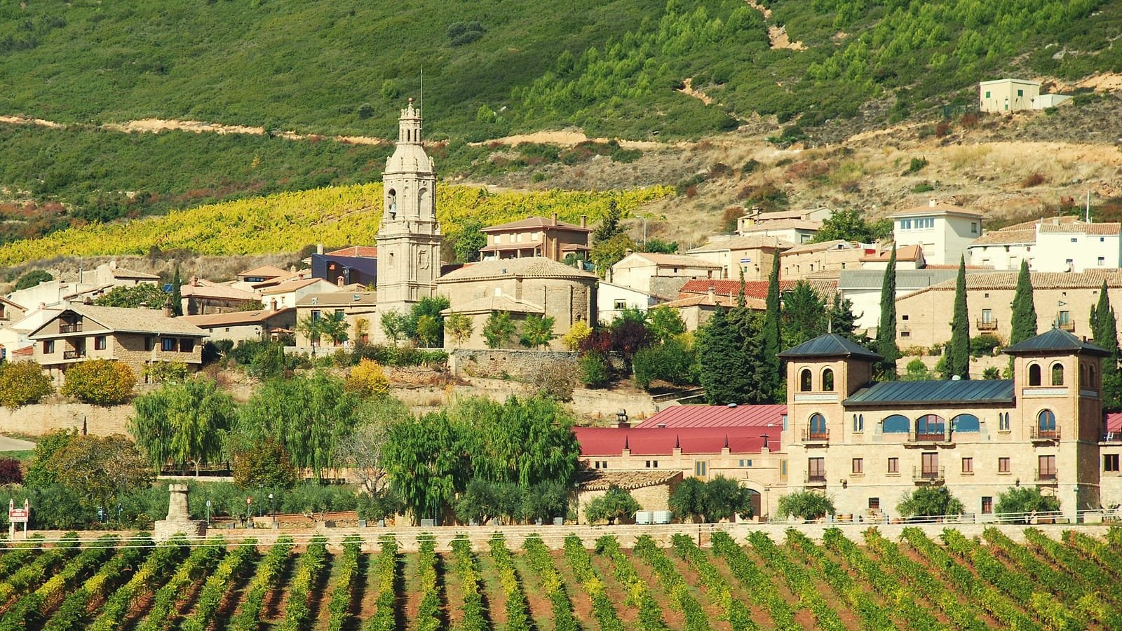 Vinhas de La Rioja Alta, etapa Logroño – Nájera