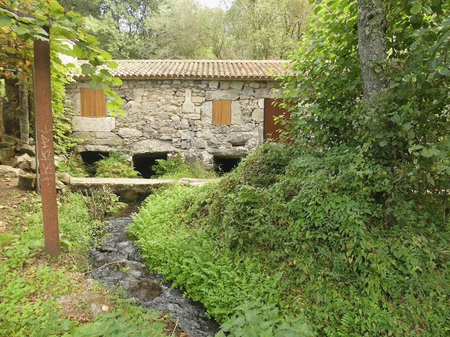 Molino Cascada Segade: Foto de Google
