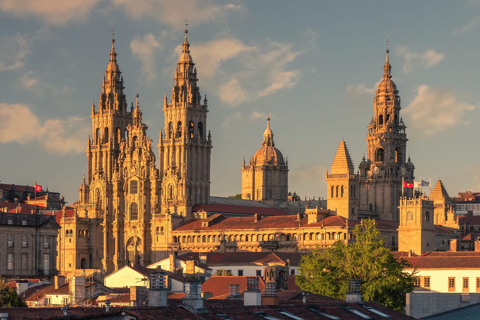 Santiago de Compostela Cathedral at golden hour seen from the Alameda park