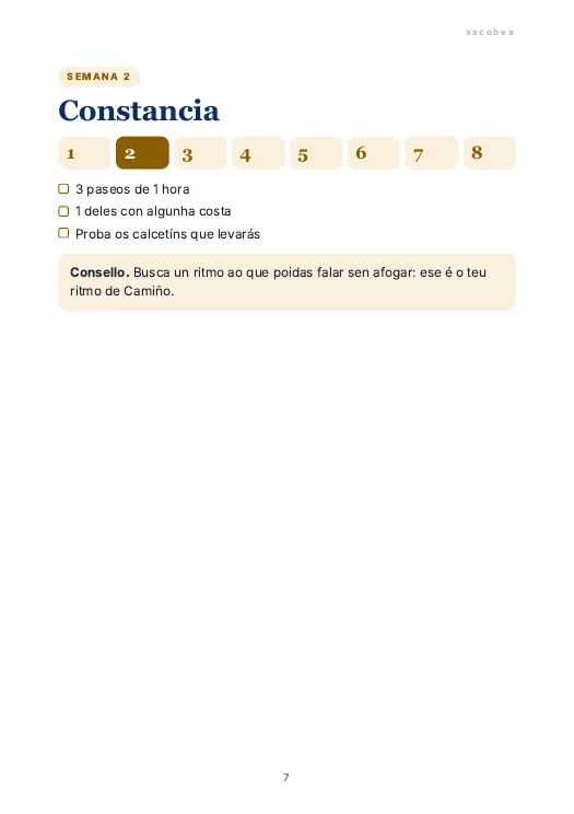 Páxinas de mostra 4
