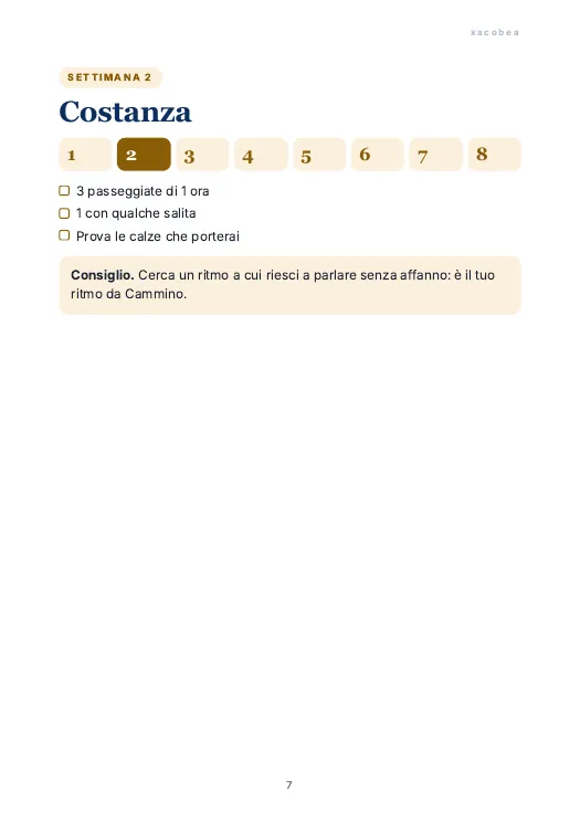 Pagine di esempio 4